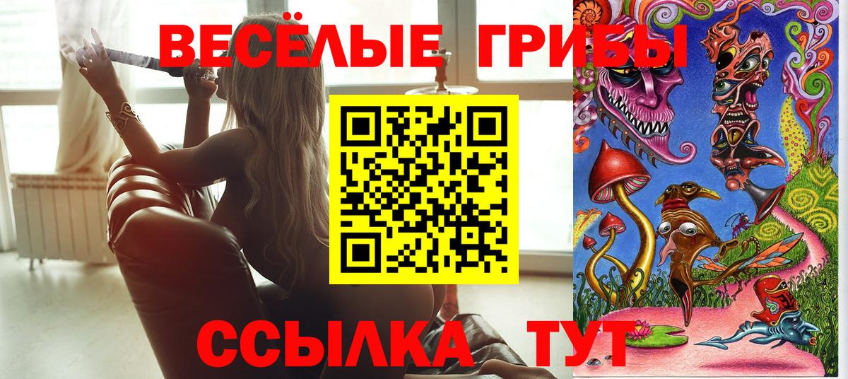 Псилоцибиновые грибы ЛСД Вышний Волочёк
