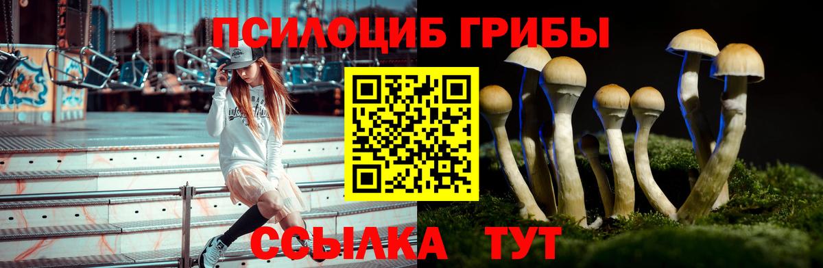 Вышний Волочёк  Галлюциногенные грибы Psilocybe  купить  сайты  Вход с VPN 